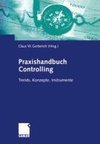 Praxishandbuch Controlling