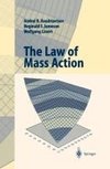 The Law of Mass Action