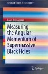 Measuring the Angular Momentum of Supermassive Black Holes