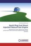 Spark Plug Fuel Direct Injection Natural Gas Engine