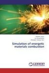 Simulation of energetic materials combustion