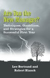 Are You the New Manager?