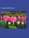Tillandsia Introduction