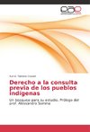 Derecho a la consulta previa de los pueblos indígenas