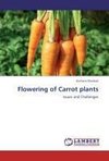 Flowering of Carrot plants