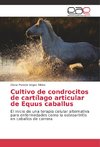 Cultivo de condrocitos de cartílago articular de Equus caballus