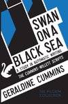 Swan on a Black Sea