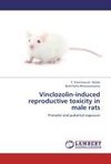 Vinclozolin-induced reproductive toxicity in male rats