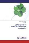 Conjugates of hemicalixarene like molecules