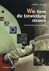 Wie Gene die Entwicklung steuern