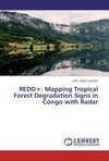 REDD+: Mapping Tropical Forest Degradation Signs in Congo with Radar