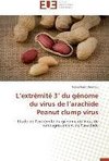 L'extrémité 3' du génome du virus de l'arachide Peanut clump virus