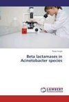 Beta lactamases in Acinetobacter species