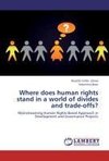 Where does human rights stand in a world of divides and trade-offs?