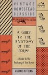 A   Guide to the Anatomy of the Horse - A Collection of Historical Articles on the Skeleton, Hoof, Teeth, Locomotion and Other Aspects of Equine Anato
