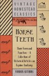 Horse Teeth - Their Form and Function - A Collection of Historical Articles on Equine Anatomy