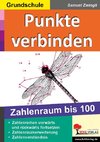 Punkte verbinden 100