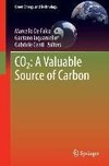 CO2: A Valuable Source of Carbon