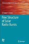 Fine Structure of Solar Radio Bursts