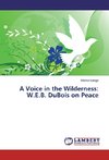 A Voice in the Wilderness:  W.E.B. DuBois on Peace