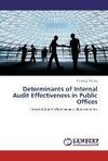 Determinants of Internal Audit Effectiveness in Public Offices