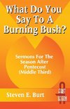 What Do You Say to a Burning Bush?