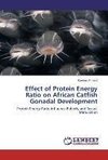 Effect of Protein Energy Ratio on African Catfish Gonadal Development