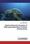 Optical Remote Sensing of Microphytobenthic Primary Productivity