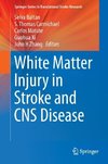 White Matter Injury in Stroke and CNS Disease