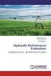 Hydraulic Performance Evaluation