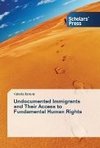 Undocumented Immigrants and Their Access to Fundamental Human Rights