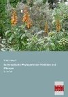 Systematische Phylogenie der Protisten und Pflanzen