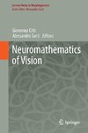 Neuromathematics of Vision