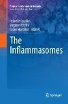The Inflammasomes