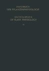 Heterotrophie / Heterotrophy