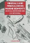 Minerals and Mineraloids in Marine Sediments