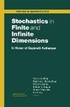 Stochastics in Finite and Infinite Dimensions