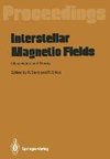 Interstellar Magnetic Fields