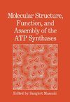 Molecular Structure, Function, and Assembly of the ATP Synthases