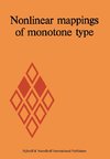 Nonlinear mappings of monotone type