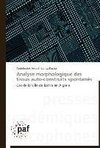 Analyse morphologique des tissus auto-construits spontanés