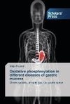 Oxidative phosphorylation in different diseases of gastric mucosa