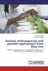 Somatic embryogenesis and plantlet regeneration from Shea tree