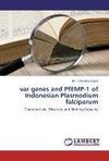var genes and PfEMP-1 of Indonesian Plasmodium falciparum