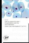 LXR et cancer du sein : Coopération avec les macrophages
