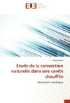 Etude de la convection naturelle dans une cavité chauffée
