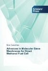 Advances in Molecular Sieve Membranes for Direct Methanol Fuel Cell