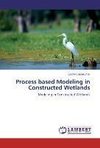 Process based Modeling in Constructed Wetlands