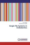 Single File Systems in Endodontics