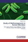 Study of Methanogenesis in Rumen Microbes
